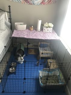 a dog in a cage with food and water on the floor next to it's bed