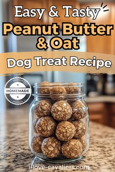 homemade peanut butter and oat dog treat recipe in a glass jar on a kitchen counter