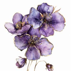 three purple flowers on a white background