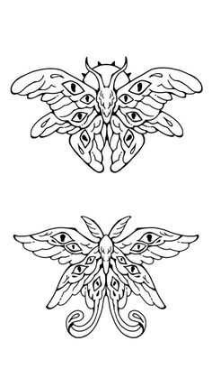 two butterfly designs on white background