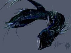 a black fish with blue feathers floating in the air