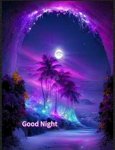 an image of a night scene with palm trees and the words good night on it