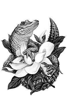 a drawing of an alligator sitting on top of a flower