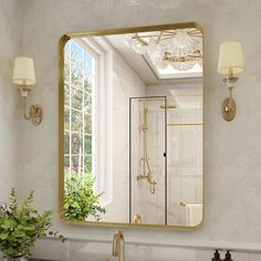 a bathroom with a large mirror above the sink and a potted plant on the counter