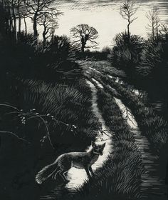 a black and white drawing of a dog running down a path in the woods at night