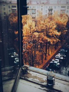 the view from an apartment window looking out onto a parking lot with parked cars and trees