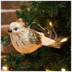 a white bird ornament hanging from a christmas tree