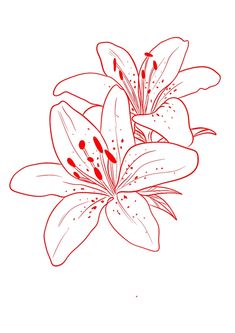 a red and white flower on a white background