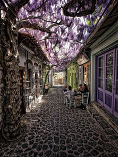 two people sitting at a table under a wistery tree in an alleyway