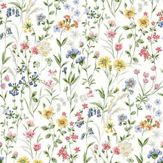 a white background with colorful flowers and leaves on the bottom right corner is an image of wildflowers, which appear to be in many different colors