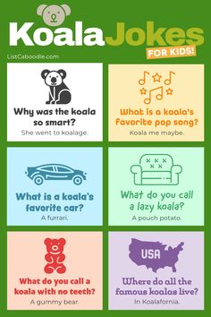 the koala jokes for kids app is shown in four different colors and font styles