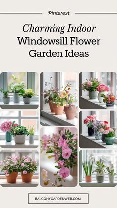 an advertisement for a window sill with flowers and plants in pots on the windowsill