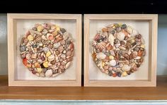 two framed pictures with seashells in them on top of a wooden shelf next to each other