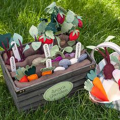 a basket filled with lots of different colored carrots next to a potted plant