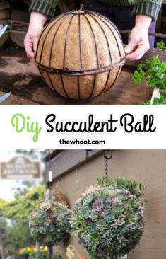 two pictures with plants hanging from them and the words diy succulentt ball