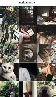 a collage of pictures with cats and people in them, including a woman taking a selfie