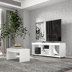 a living room with a tv, table and plant in the corner next to it