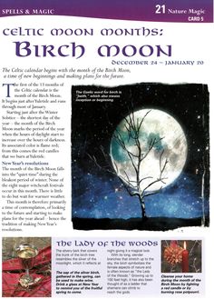 an article about the moon and its phases, with pictures of trees in front of it