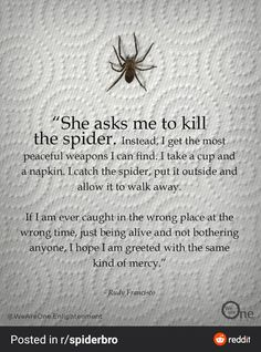 a poem written in black and white with a spider on the bottom, above it