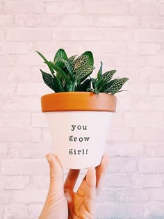 someone holding up a potted plant that says, you grow girl