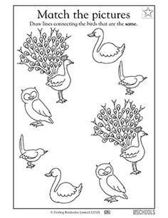 the matching pictures worksheet for children to learn how to draw birds and peacocks