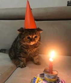 a cat sitting on a couch with a birthday hat on its head next to a lit candle