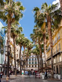 palm trees line the street in front of buildings and people walking on the sidewalk near them