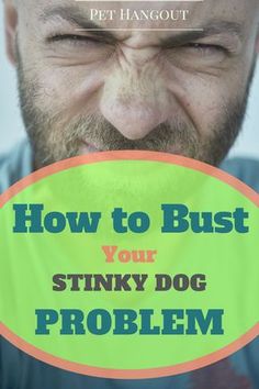 a man holding his nose with the words how to bust your stinky dog problem