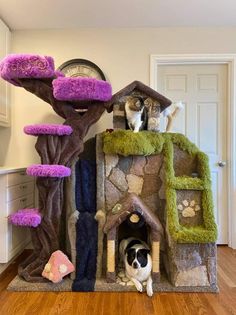 a dog laying in front of a cat tree house