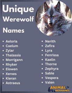 #UniqueWerewolfNames #FantasyCreatures #CreativeNames #MagicalBeasts #WerewolfLife #OneOfAKindNames Animal Nicknames, Werewolf Name, Unique Name, Name Inspiration, Unique Names, Make Your, Funny, Animals