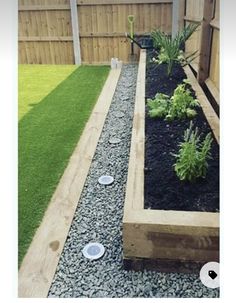 an outdoor garden area with grass and gravel