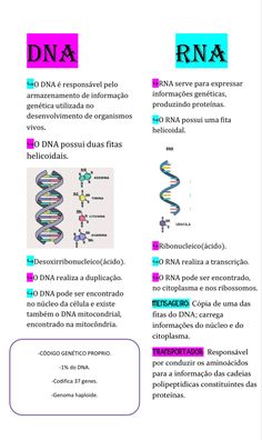 the diagram shows different types of structures in an animal's body and how they are used