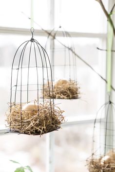 two bird cages hanging from the side of a window sill filled with hay and eggs