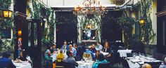 a group of people sitting at tables in a room with plants growing on the walls