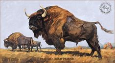 an oil painting of bison and calves in a field