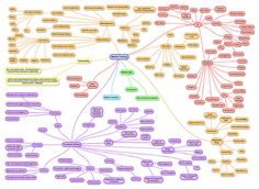 a mind map with many different types of words and phrases in each language on it