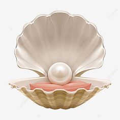 an image of a shell with a pearl in it