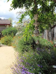 a garden with lots of flowers next to a house