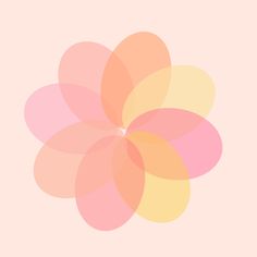 a pink and yellow flower on a beige background