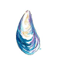 a watercolor drawing of a blue and white shell on a white background with the word,