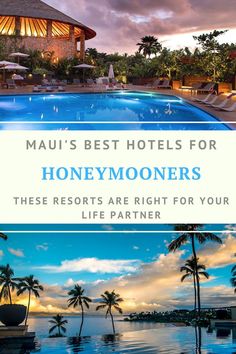 the front cover of a hotel with an ocean view and palm trees in the background