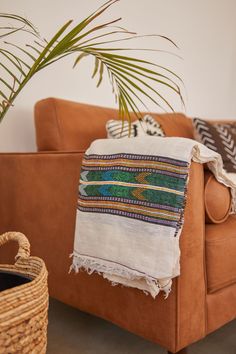 a living room with a couch, chair and potted palm tree in the corner