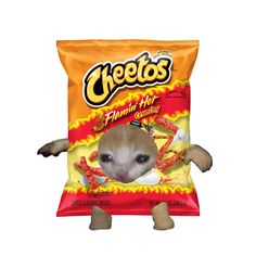 a bag of cheetos is shown with an image of a hamster in it