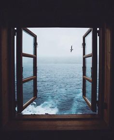 an open window looking out at the ocean with a bird flying in the sky above