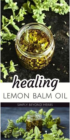 lemon balm oil in a glass jar next to fresh herbs