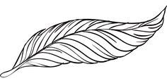 a black and white drawing of a leaf with long, thin lines on it's side