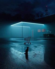 a cat sitting in the middle of a parking lot at night with a shopping cart