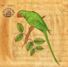 a green bird sitting on top of a tree branch next to an old paper with writing