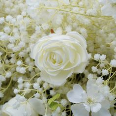 a white rose surrounded by small white flowers