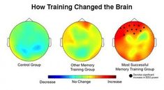 John Hopkins: This Brain Exercise Improves Working Memory - Fractus Learning Improving Memory, Education Games, Brain Activity, Gym Games, Cooperative Games, Building Activities